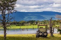 Discover the Wonders of Selous Game Reserve - 4 Days