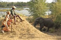 Discover the Wonders of Selous Game Reserve - 4 Days