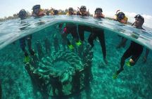 Private Snorkeling Gili Island (Coral, Statue and Turtle) 