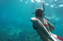 Private Snorkeling Gili Island (Coral, Statue and Turtle) 