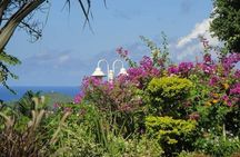 St Lucia Northern Island Tour