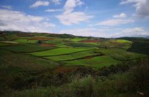 1-Day Dongchuan Red Land Photography Private Tour from Kunming