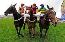 A Day At The Races & the Horse Lovers Tour