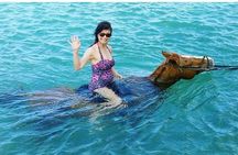 Horseback Ride and Swim From Ocho Rios