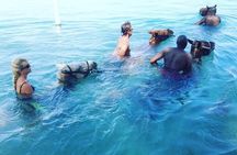 Horseback Ride and Swim From Ocho Rios