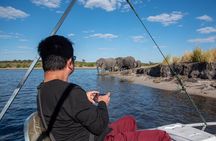 Chobe Day Trip