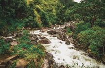 Heeloya Village Trek from Kandy