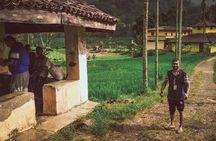 Heeloya Village Trek from Kandy