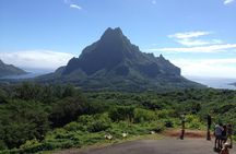 Moorea 4WD Shore Excursion: Best of Moorea, Timed for Your Cruise