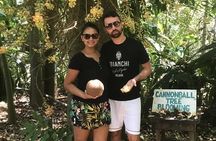 A Journey Through Carambola Gardens & Optional Beach Time or West End Shopping
