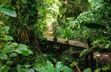 A Journey Through Carambola Gardens & Optional Beach Time or West End Shopping