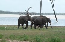  2 Days Morogoro- Selous Game Reserve(Nyerere national park)