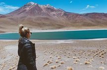 Piedras Rojas and Altiplanic Tour