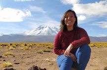 Piedras Rojas and Altiplanic Tour