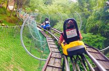 Private Full-Day Tour of Da Lat Included Lunch From Nha Trang