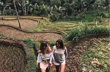 Car Hire in Lombok (Include Driver, Car, & Fuel)