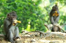 Exclusive Private Lombok Car Hire & Customized Tour