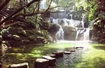 Seven Star Crag and Dinghu Mountain private day tour from Guangzhou