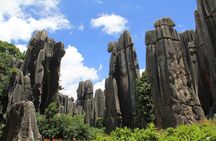 1-Day Private Tour:Stone Forest and Western Hill(Dragon Gate) from Kunming