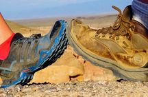 Private tour from Almaty Charyn canyon on Comfortable SUV