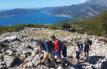 Hiking Vrmac peninsula with panoramic view on Kotor bay