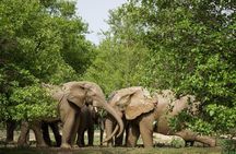 Experience Northern Ghana In 10-Days