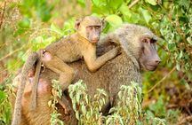 Experience Northern Ghana In 10-Days