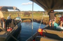 From Victoria Falls: Chobe National Park Small Group Tour