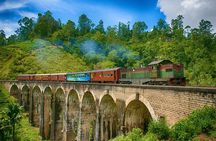 Ella Private Day Tour From Kandy