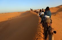 3 Días viajes al desierto grupal compartidos