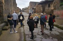 Mount Vesuvius Shore Tour, Pompeii & Winery Vesuvius Winery 