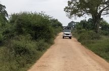 All Inclusive Yala National Park Jeep Safari Day Tour from Colombo & Negombo