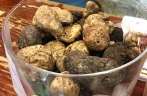 Istrian hill top cities tour with truffle and olive oil tasting
