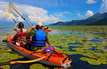 Kayak Guided Tour Skadar lake - Adventure in National park