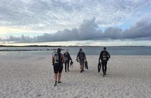 Small Group Guided Shore Dives in St. Andrews State Park, Florida