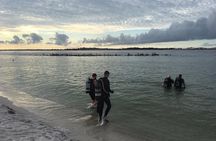 Small Group Guided Shore Dives in St. Andrews State Park, Florida