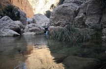 East Coast and Wadi Shab tour
