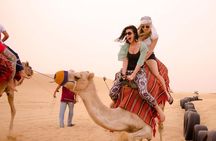 Camel Ridding marsa alam safari from Camel Yard