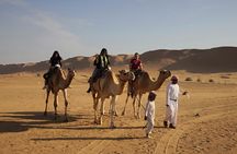 The True Bedouin Experience