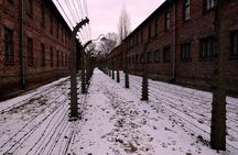 Auschwitz Birkenau Memorial and Museum group tour from Krakow