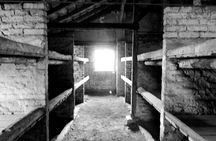 Auschwitz-Birkenau guided tour from Krakow with Ticket & Transfer