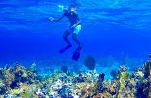 Glass Bottom Boat Ride/Snorkeling/Booby Cay Island from Negril