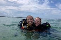 Scuba Certification
