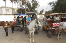 3-day saint-Louis / Lompoul desert experience ( 2 nights)