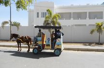 3-day saint-Louis / Lompoul desert experience ( 2 nights)