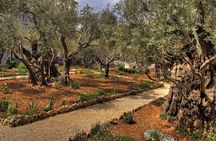 One Day Tour to Jerusalem from Dead Sea