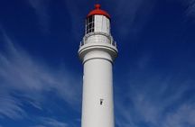 Great Ocean Road Private Luxury Tour
