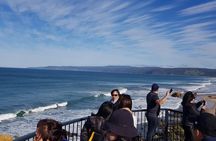 Great Ocean Road Private Luxury Tour