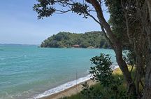 Waiheke Island Private Guided Te Ara Hura Walk