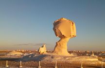 Privat White desert and Bahariya oasis 2 days with camping 